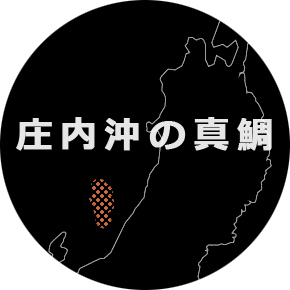 庄内沖の真鯛